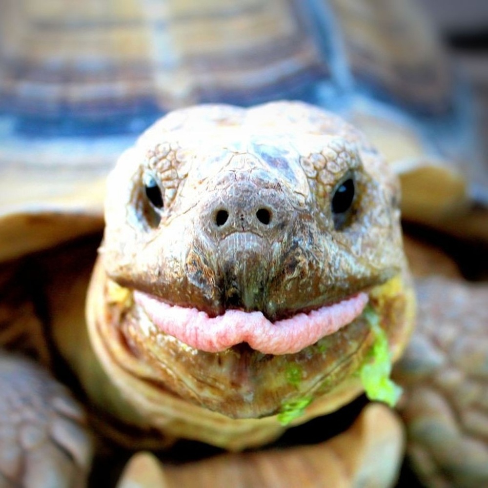 Meet your Posher, Mere